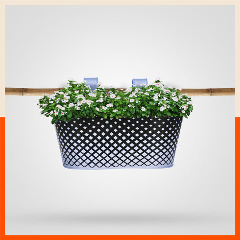 DIA Hanging Metal Pot Holders / Planters for Home / Balcony / Garden | Baby Blue